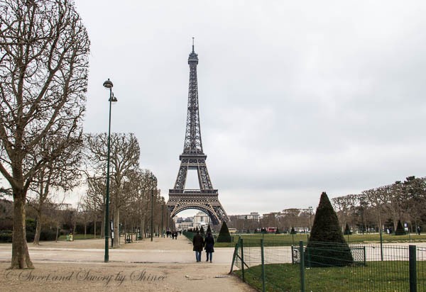 Travel Photo Journal- Paris- Eiffel Tower