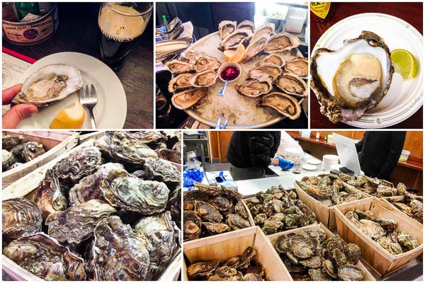 Travel Photo Journal- LONDON- Oysters