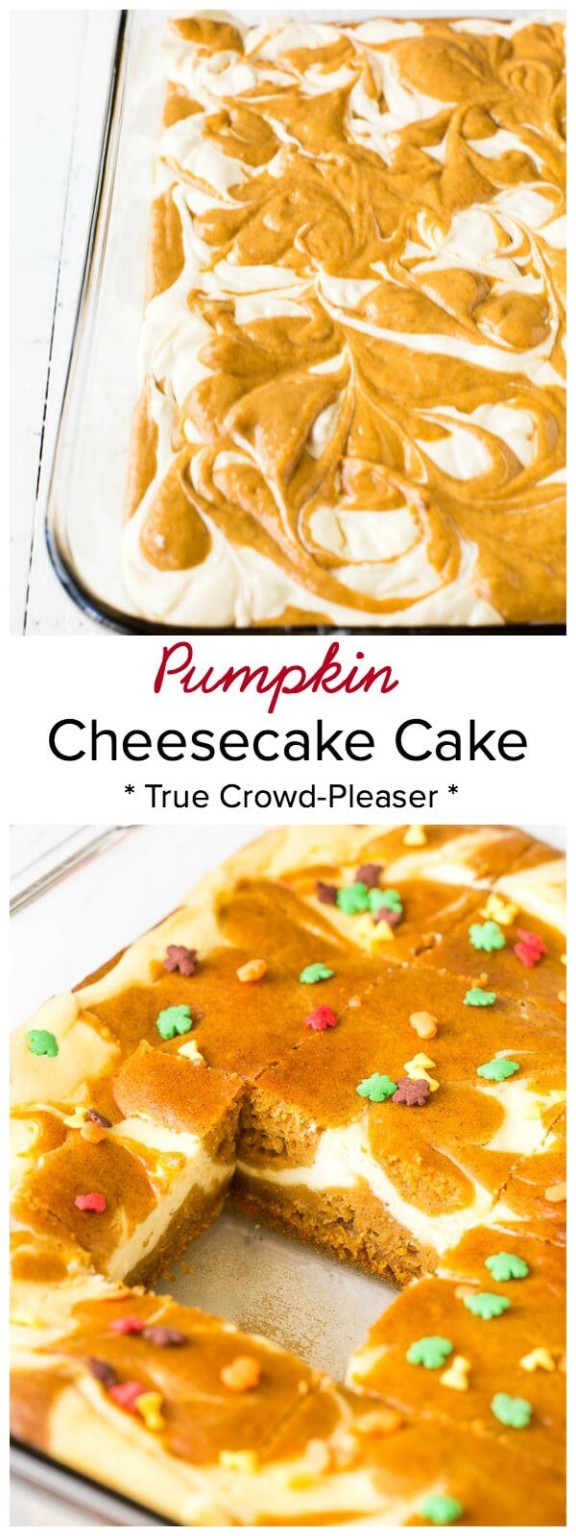 Pumpkin Cheesecake Cake ~Sweet & Savory