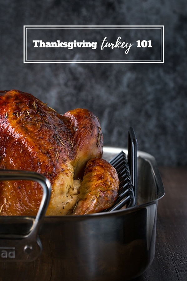 Thanksgiving Turkey 101: Everything you need to know about cooking a turkey from brining to carving!