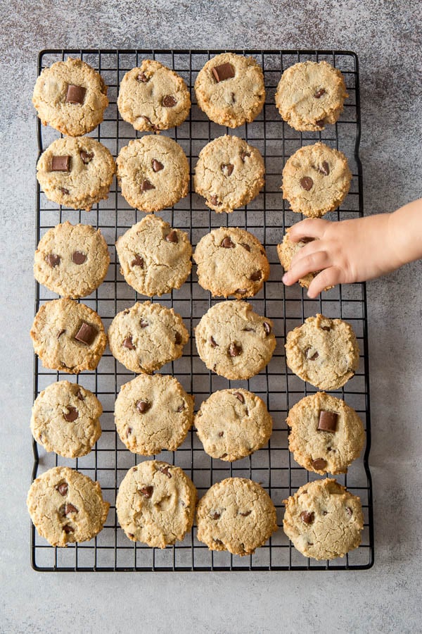 Gluten free almond cookies on a cooling rack with toddler hand reaching for one, because they're irresistibly good cookies!