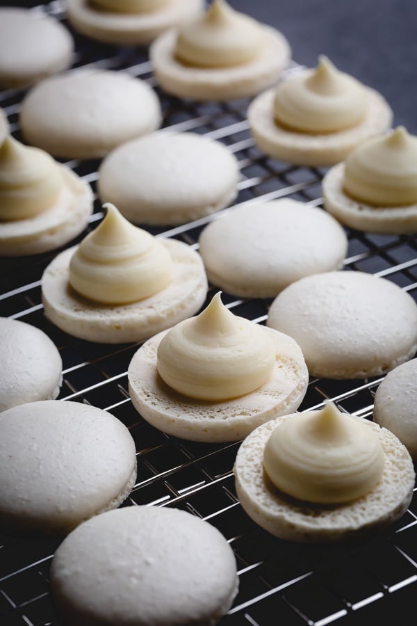 Macaron shells with a dollop of white ganache.