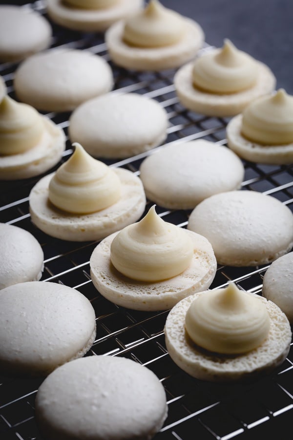 These gorgeous white macarons, filled with silky smooth white chocolate ganache, are pure dream for every macaron lover! Grab a coffee and read my recipe testing notes to get these pure white macarons. #macarons