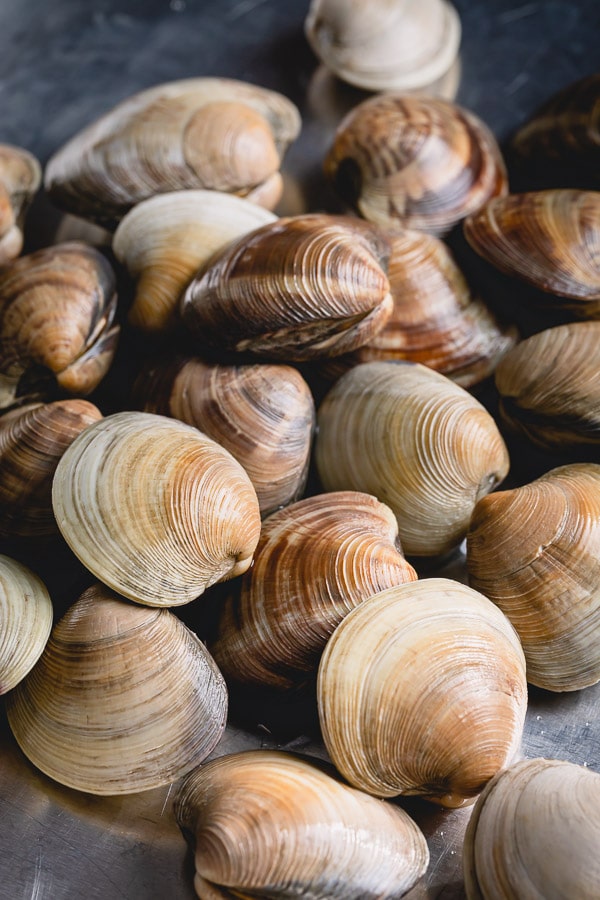 Learn how to clean little neck clams and degrit clams for your next soup, salad, or pasta dish. #littleneckclams #shortneckclams #tutorial #clams #seafood