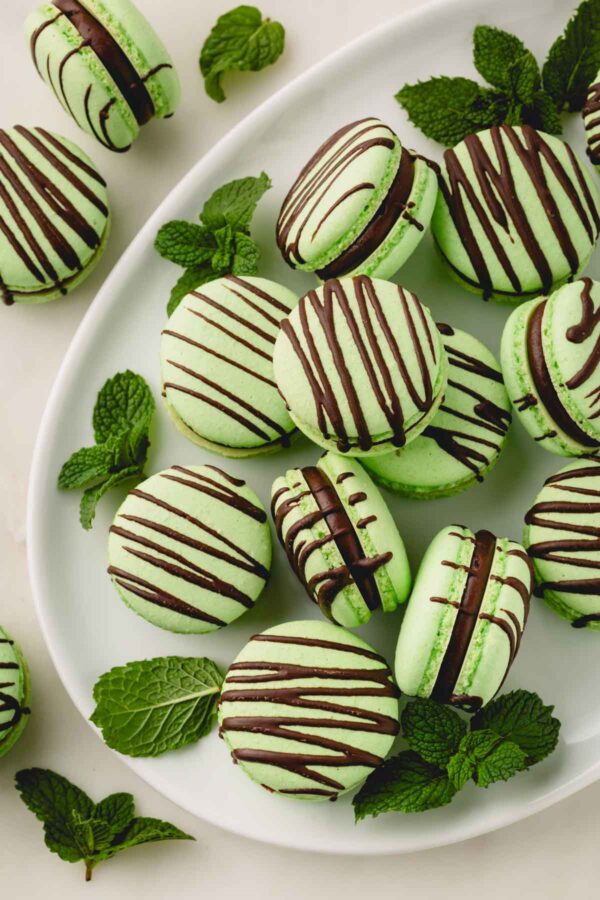 Green mint macarons filled with dark mint ganache and drizzled with chocolate arranged on a white oval plate and garnished with mint leaves.