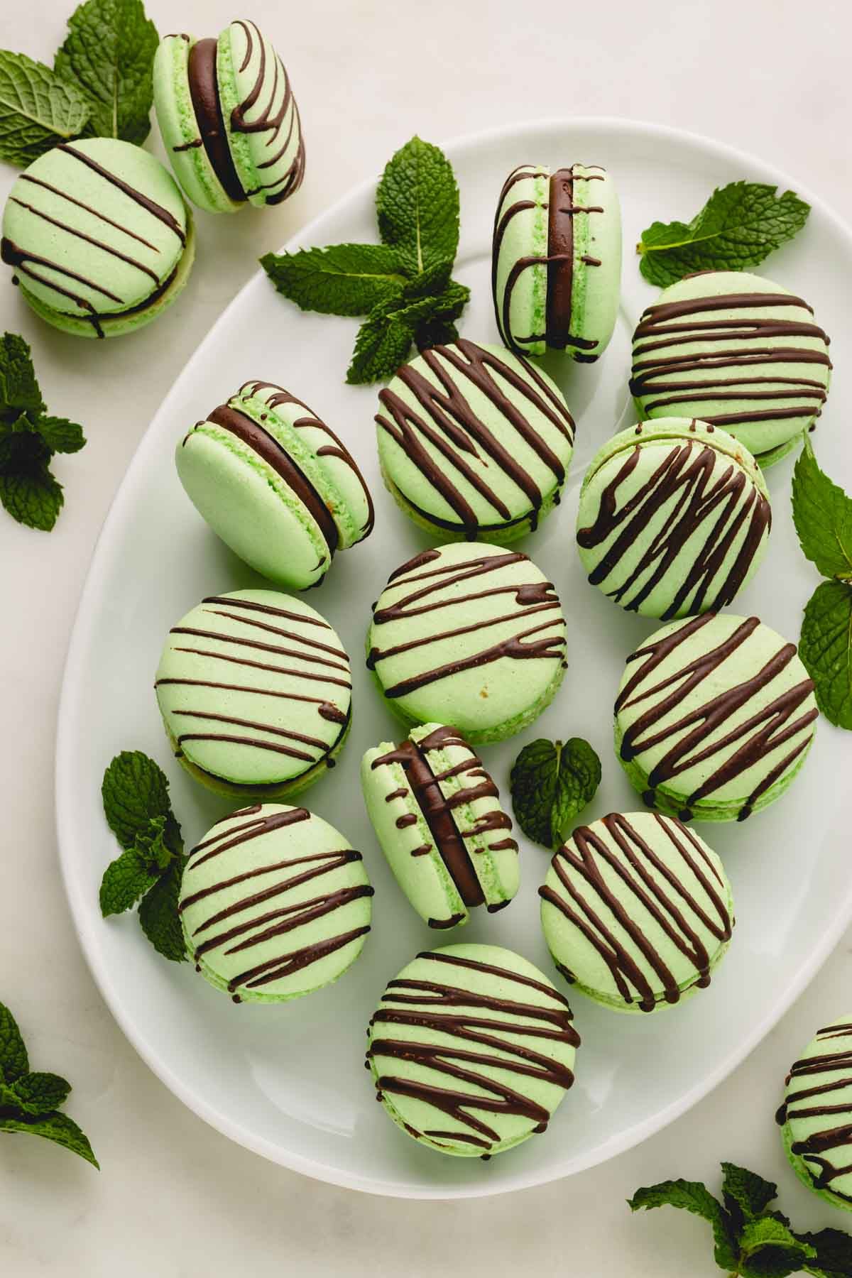 Green mint macarons filled with dark mint ganache and drizzled with chocolate arranged on a white oval plate and garnished with mint leaves.