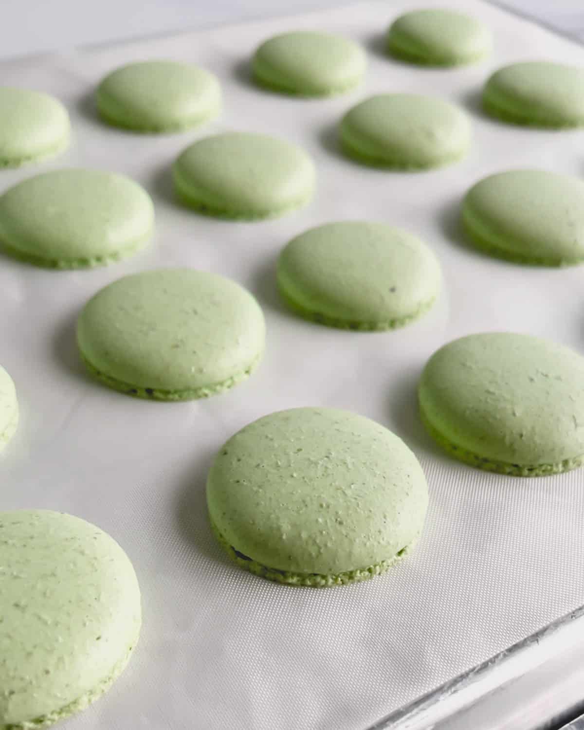 Baked green macaron shells on a white surface.