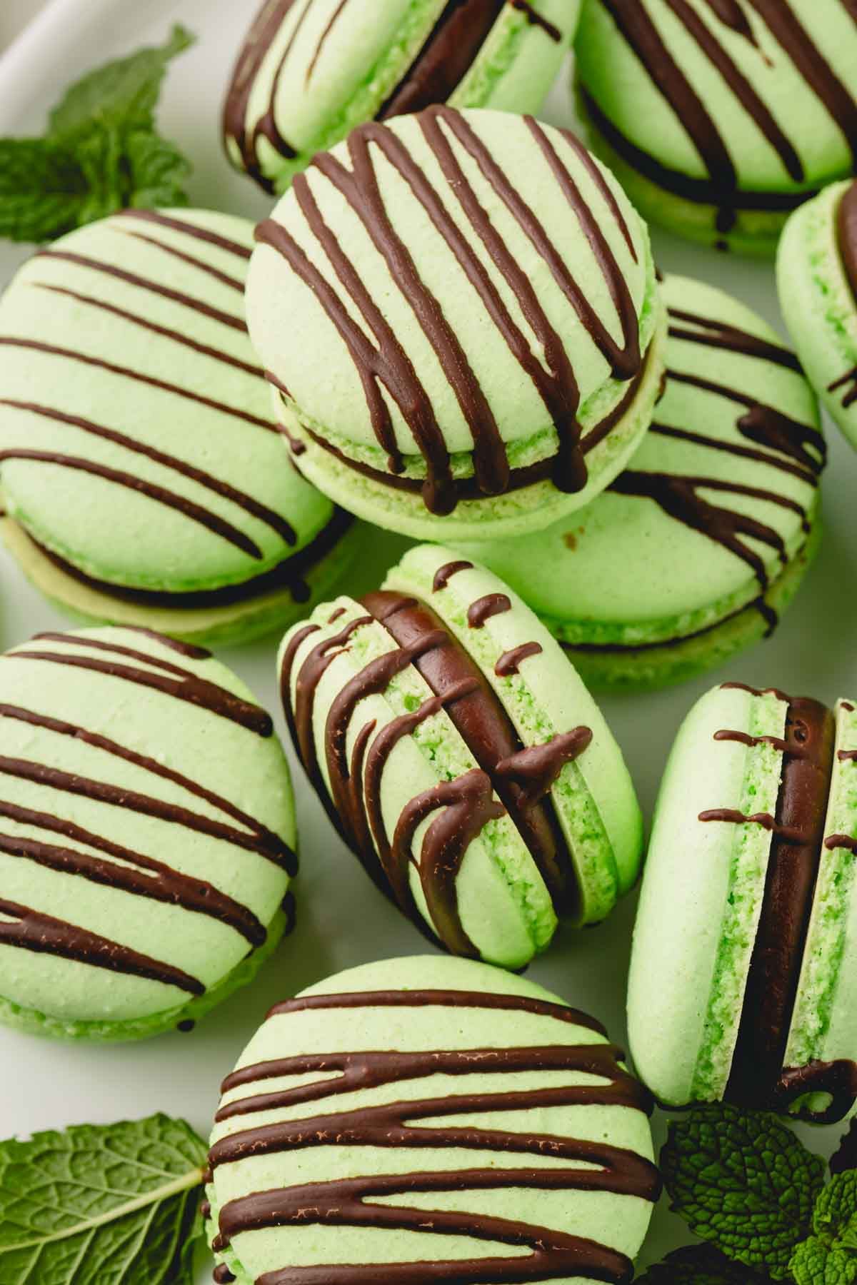 Green mint macarons filled with dark mint ganache and drizzled with chocolate and garnished with mint leaves.