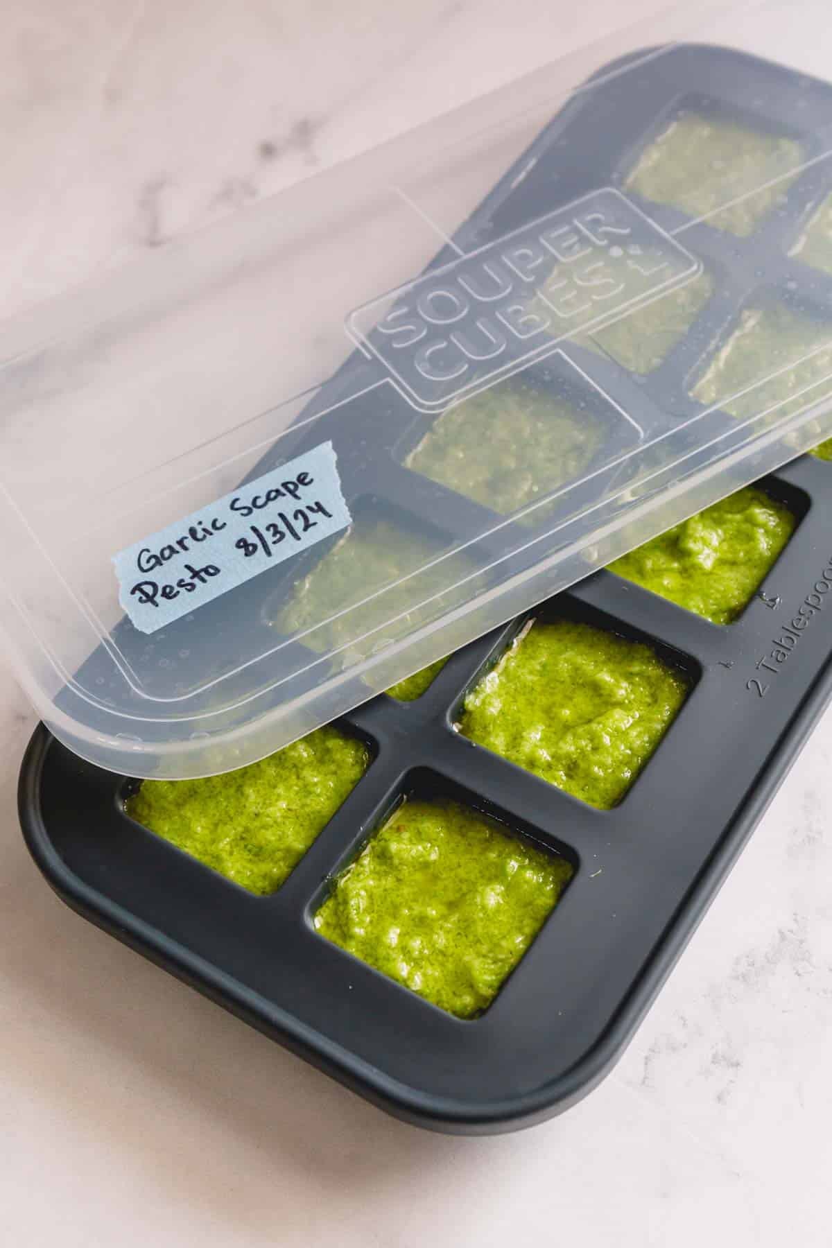 Fresh garlic scape pesto devided into 2-tablespoon silicone mold.