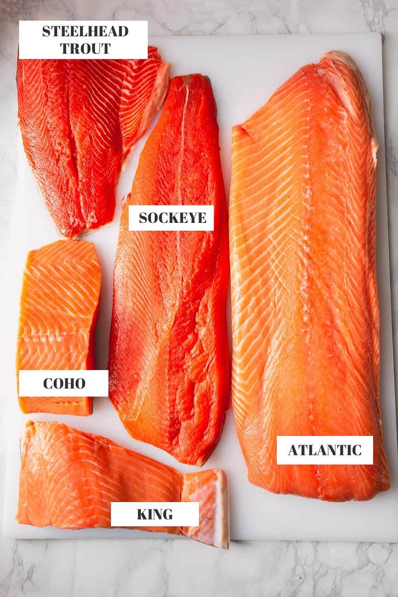 Salmon Varieties A Complete Guide to Salmon Sweet & Savory