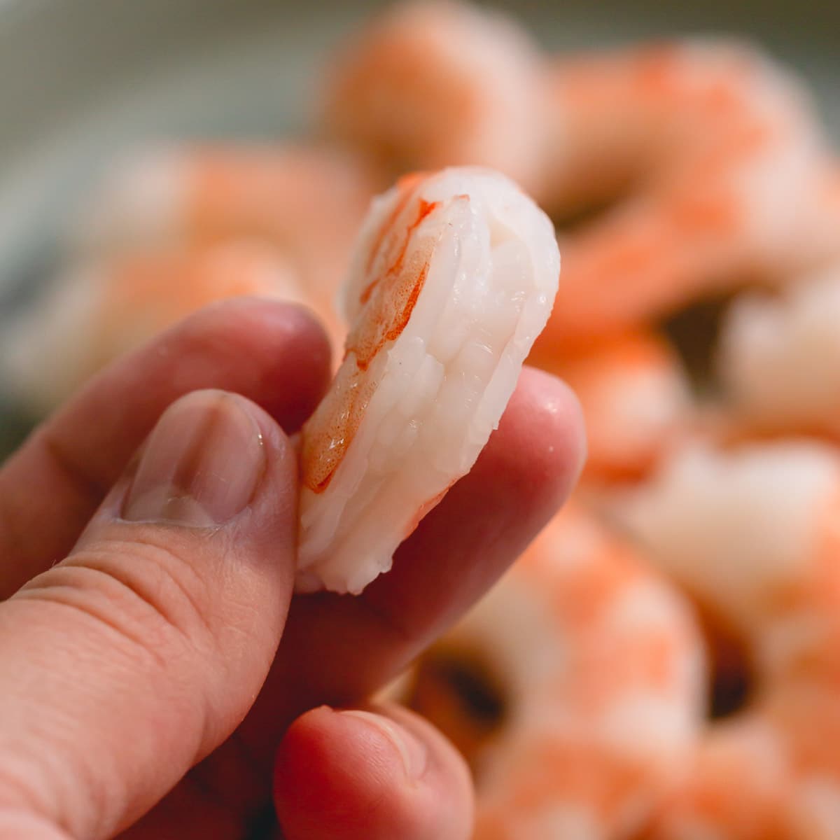 close up of fully cooked deveined shrimp