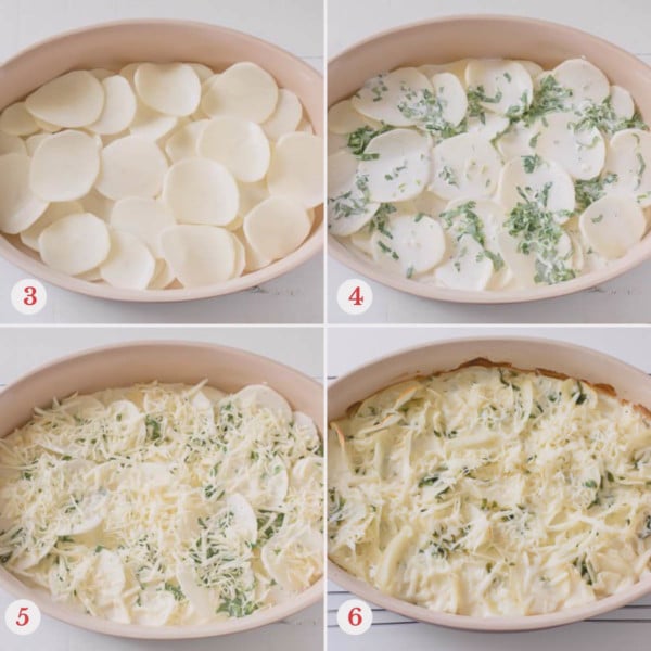 4 step by step images of layering thinly sliced potatoes, roux mixture and cheeses.