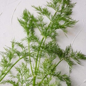 Fresh dill spread out on a white surface.