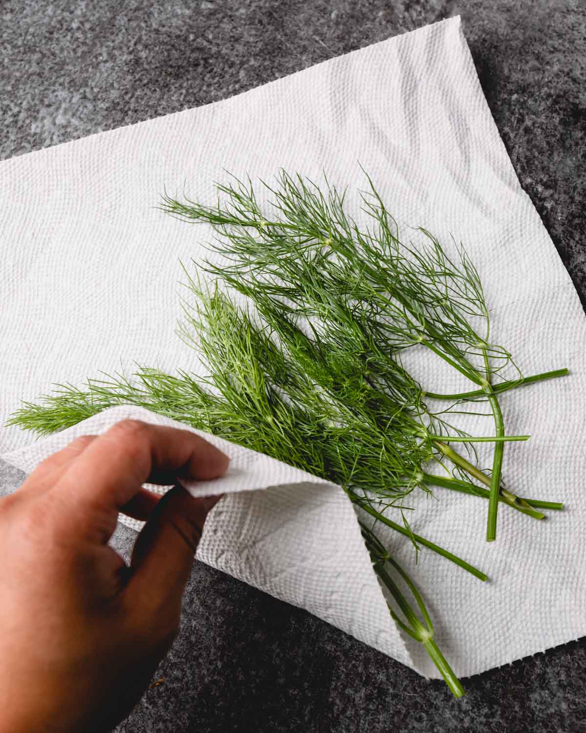 Fresh dill on a sheet of paper towel.