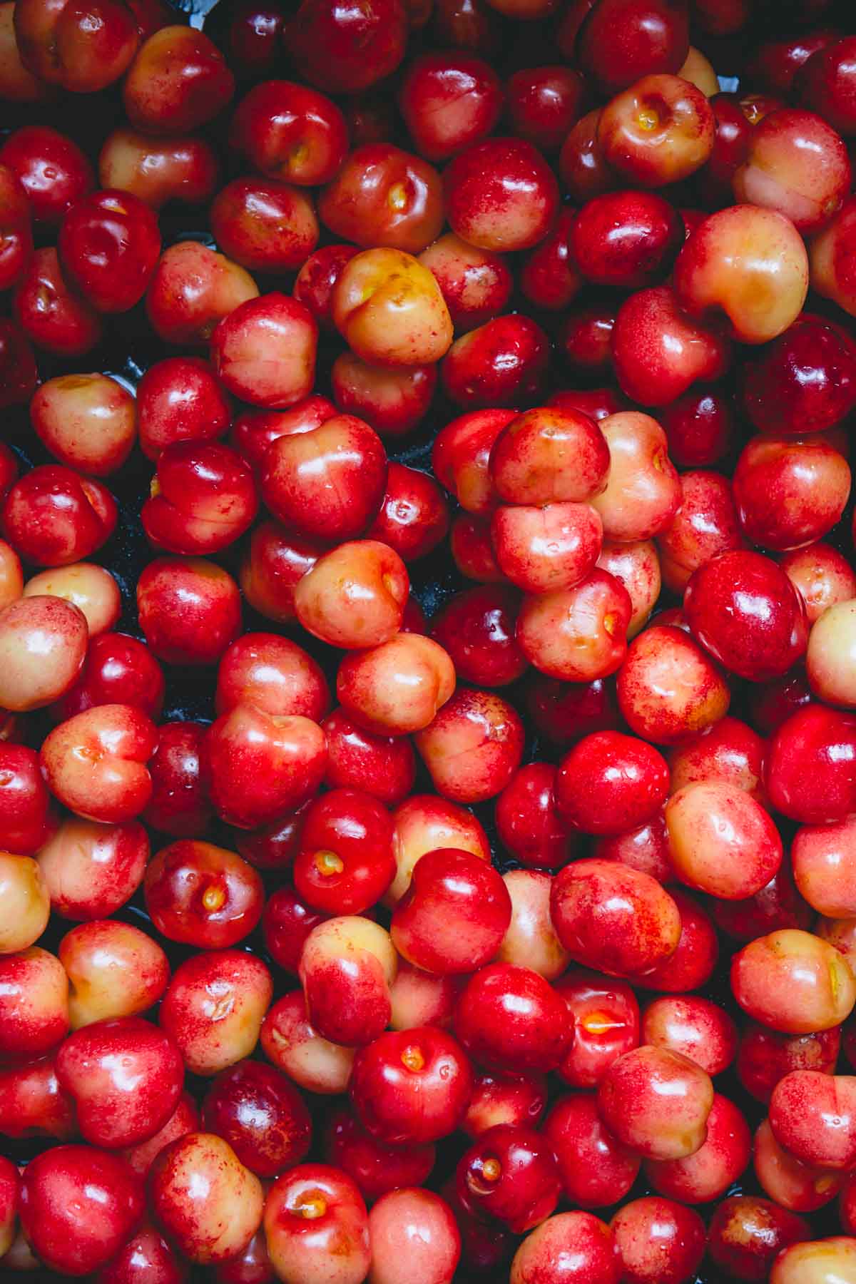 Close up photo of rainier cherries.