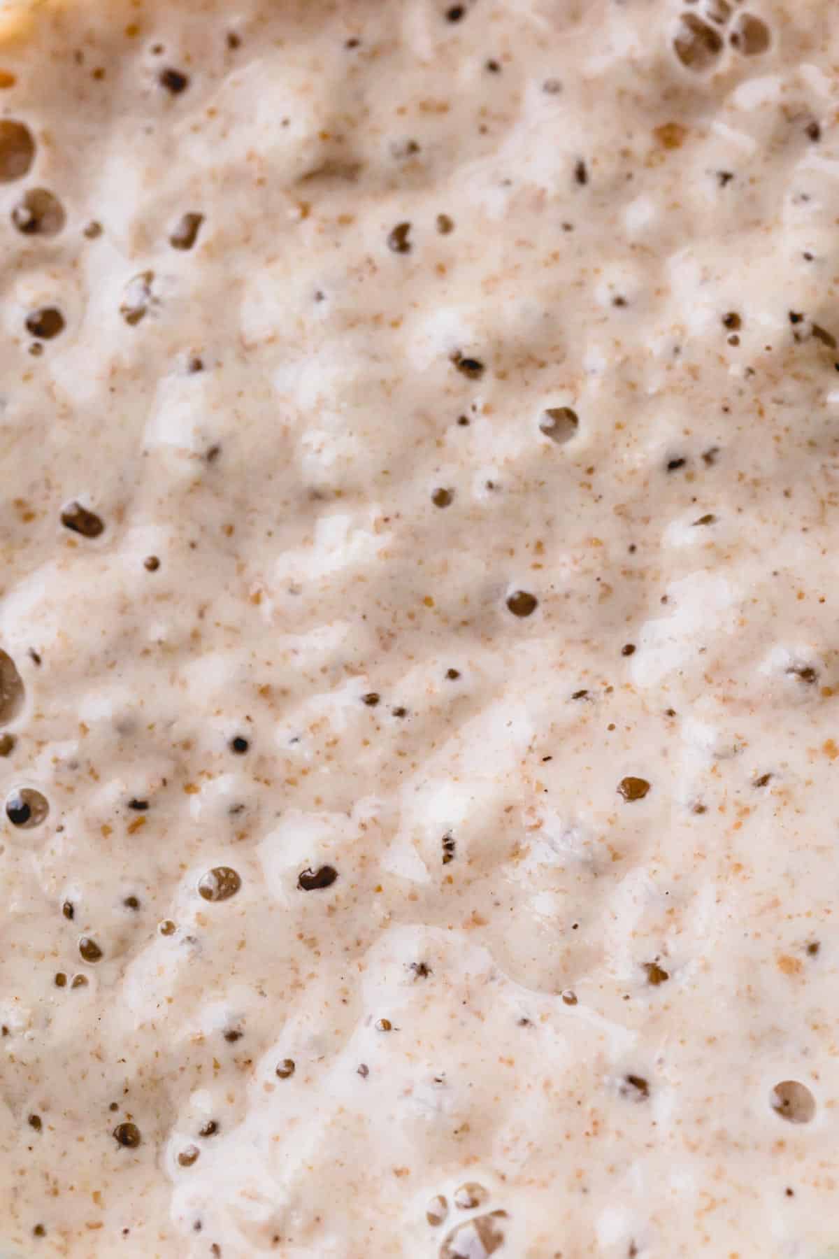 Upclose look of bubbly sourdough starter.