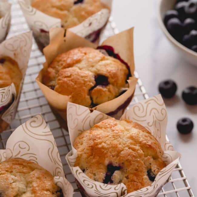 Blueberry muffins on a wire rack.