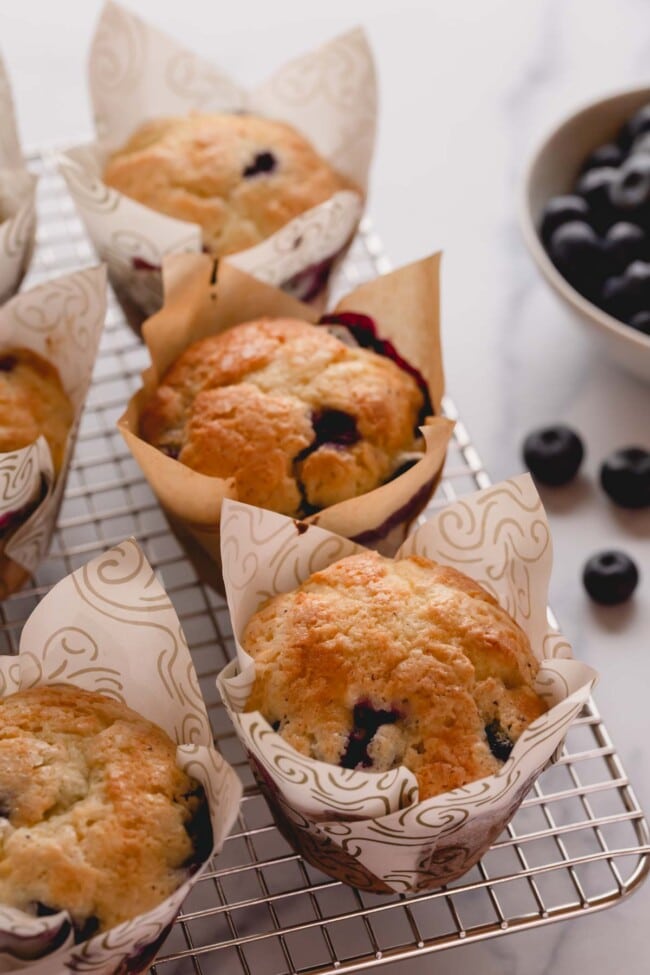 Blueberry muffins on a wire rack.