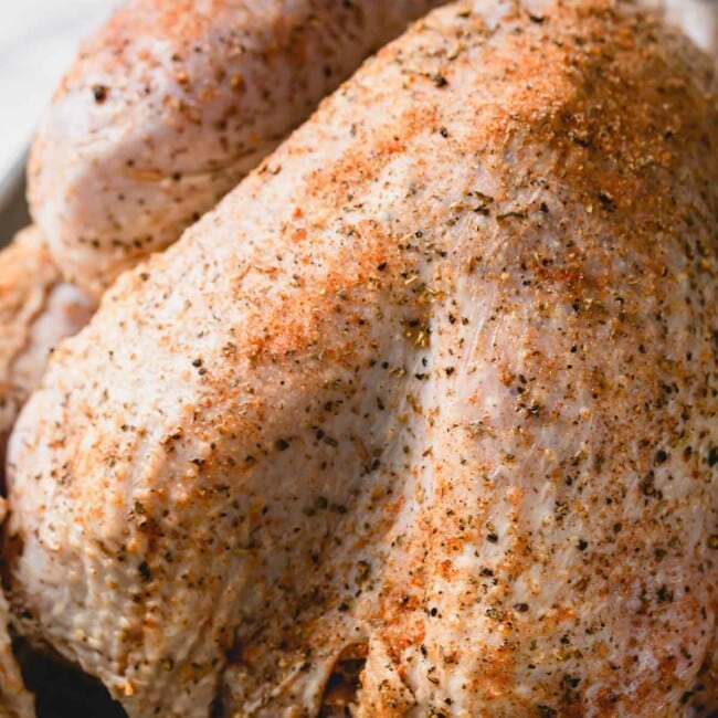 Uncooked whole turkey rubbed with seasoning.