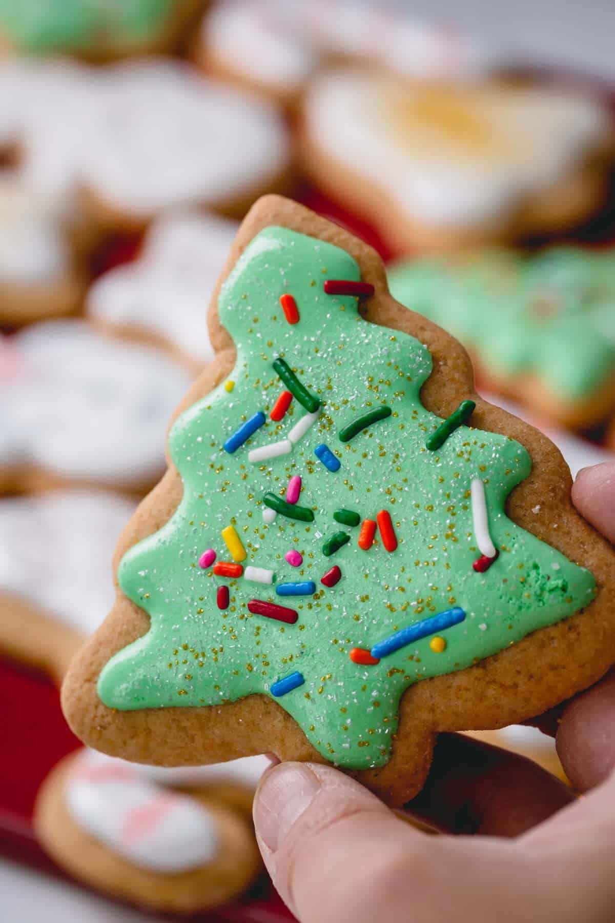 hand holding a christmas tree cookie with sprinkles.