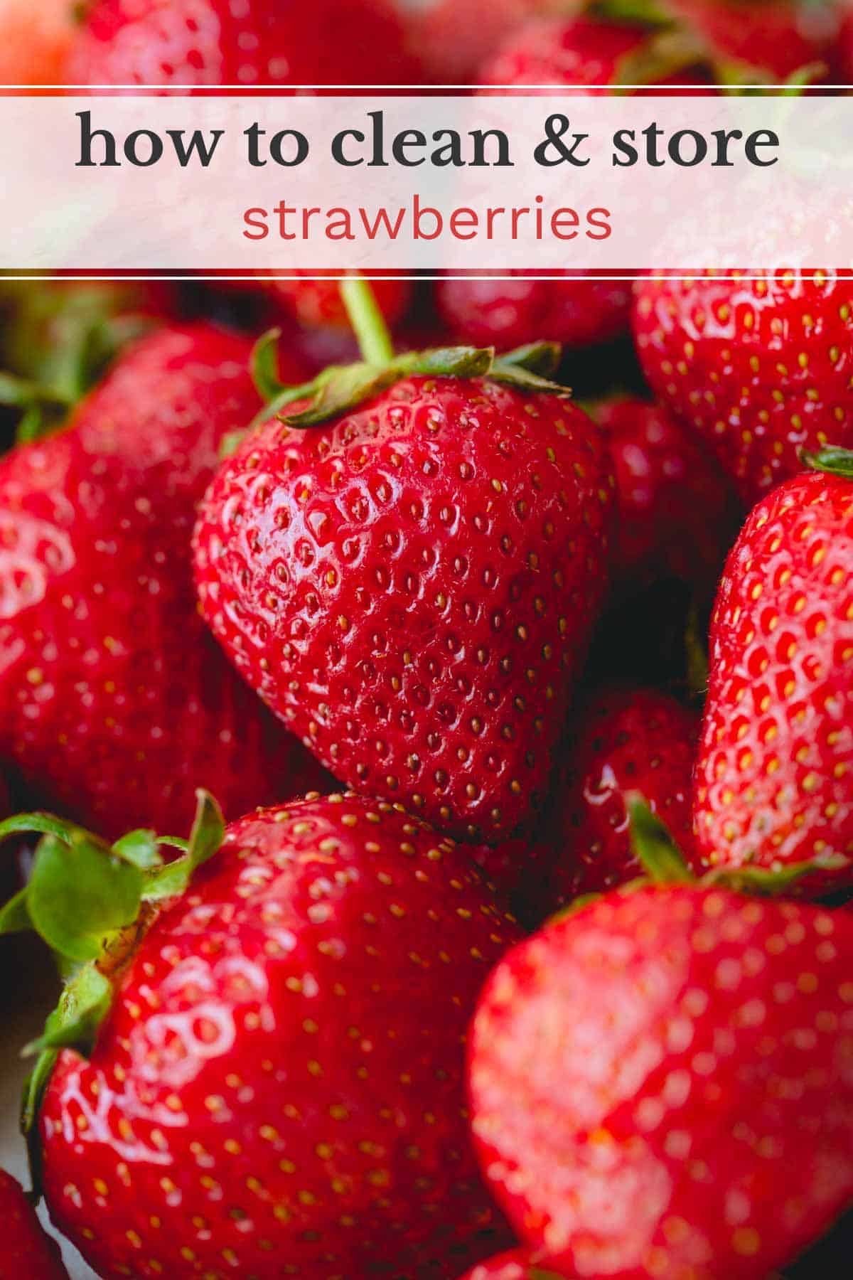 An image of strawberries with text banner that reads "how to clean & store strawberries".
