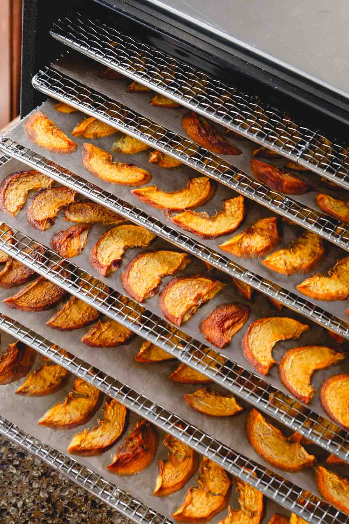 A dehydrator with five sheets of dehydrated peaches sticking out.