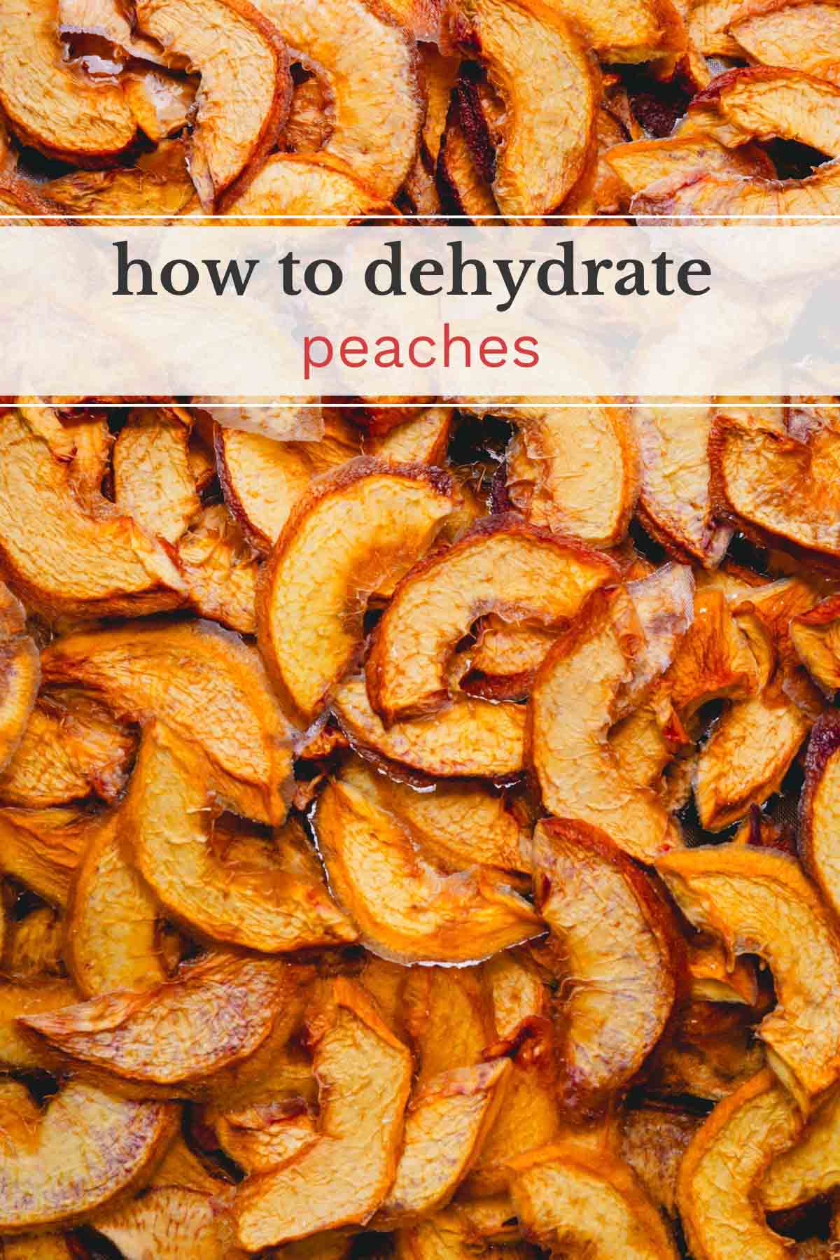 An image of dehydrated peaches with a banner that reads, "how to dehydrate peaches".