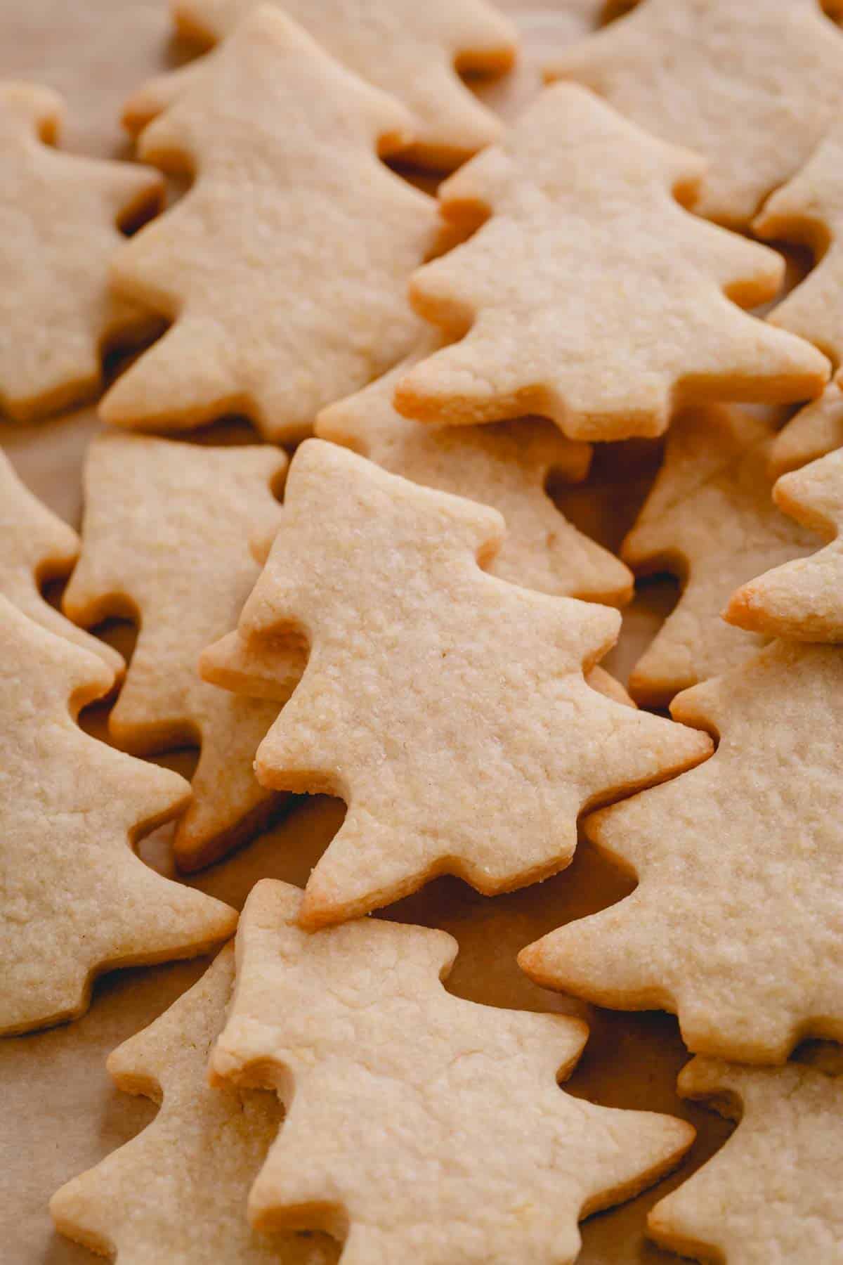 Baked Christmas sugar cookies in the shape of Christmas trees.
