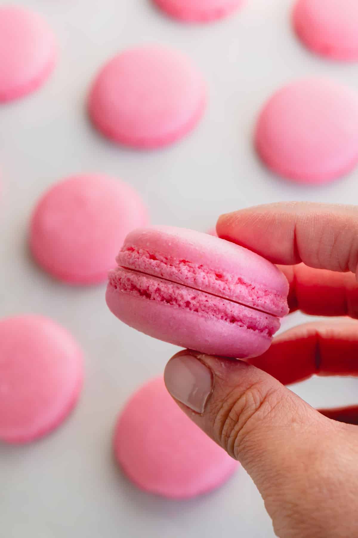 Baked pink macaron shells held in a hand.