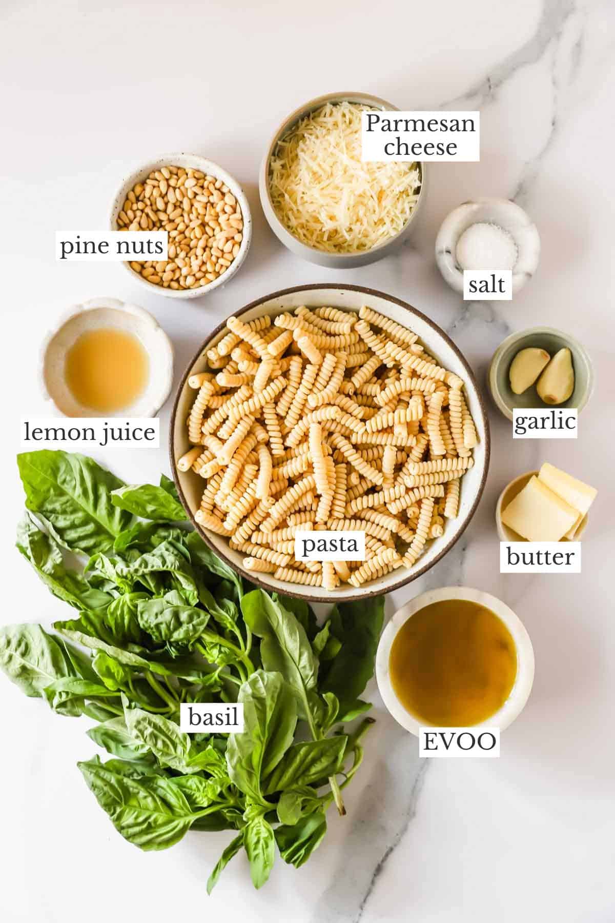 Ingredients to make basil pesto pasta.
