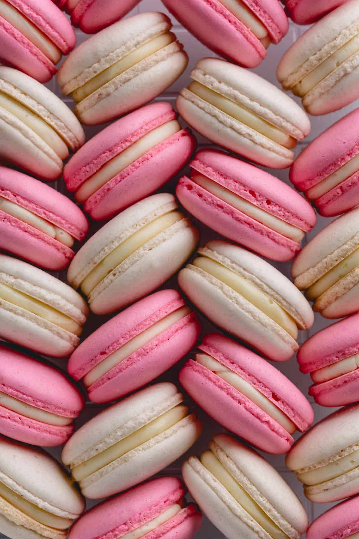 Pink and white french macarons.