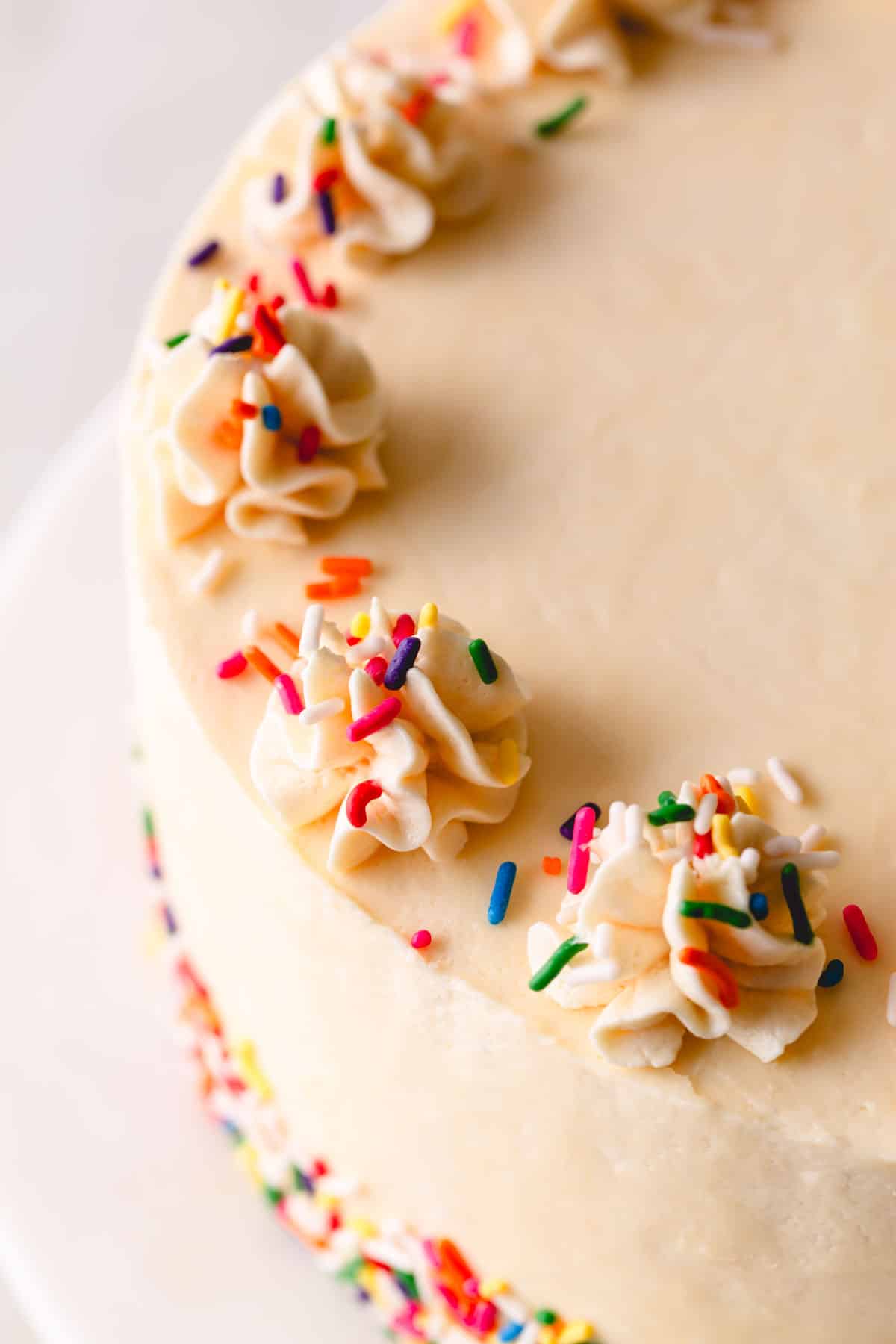 Piped Russian buttercream and sprinkles on a vanilla bean cake.