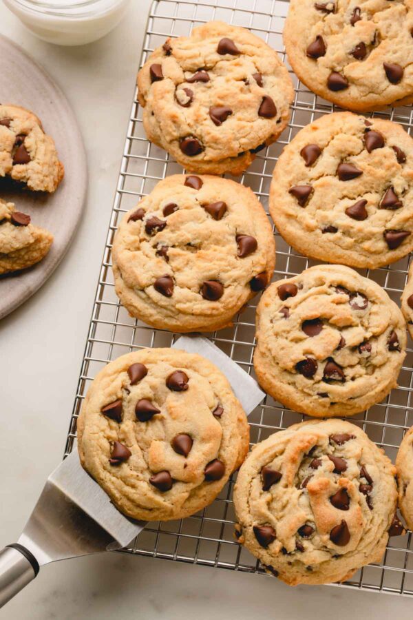 Thick and chewy chocolate chip cookies on a wire rack, a spatula under one.