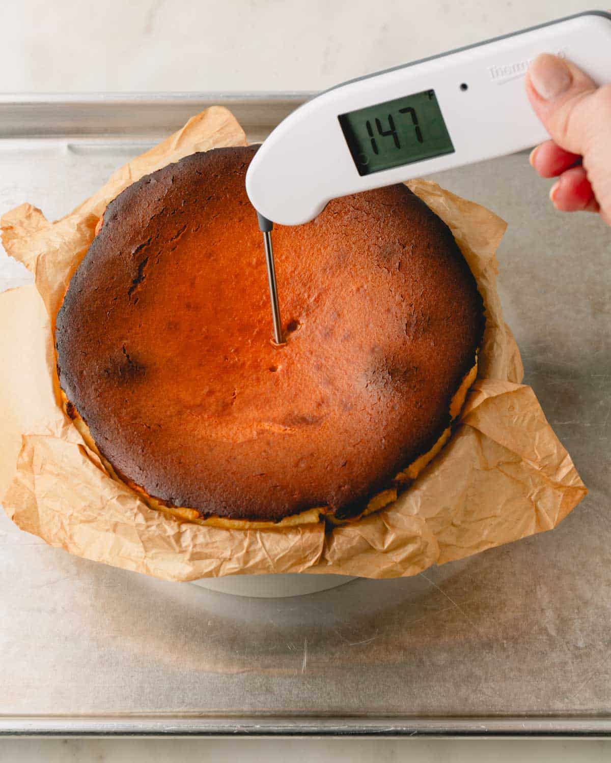 Baked cheesecake in the pan with an instant thermometer inserted in the middle.