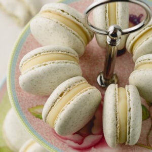 Upclose video of filled nut free macarons arranged on a platter on their sides.